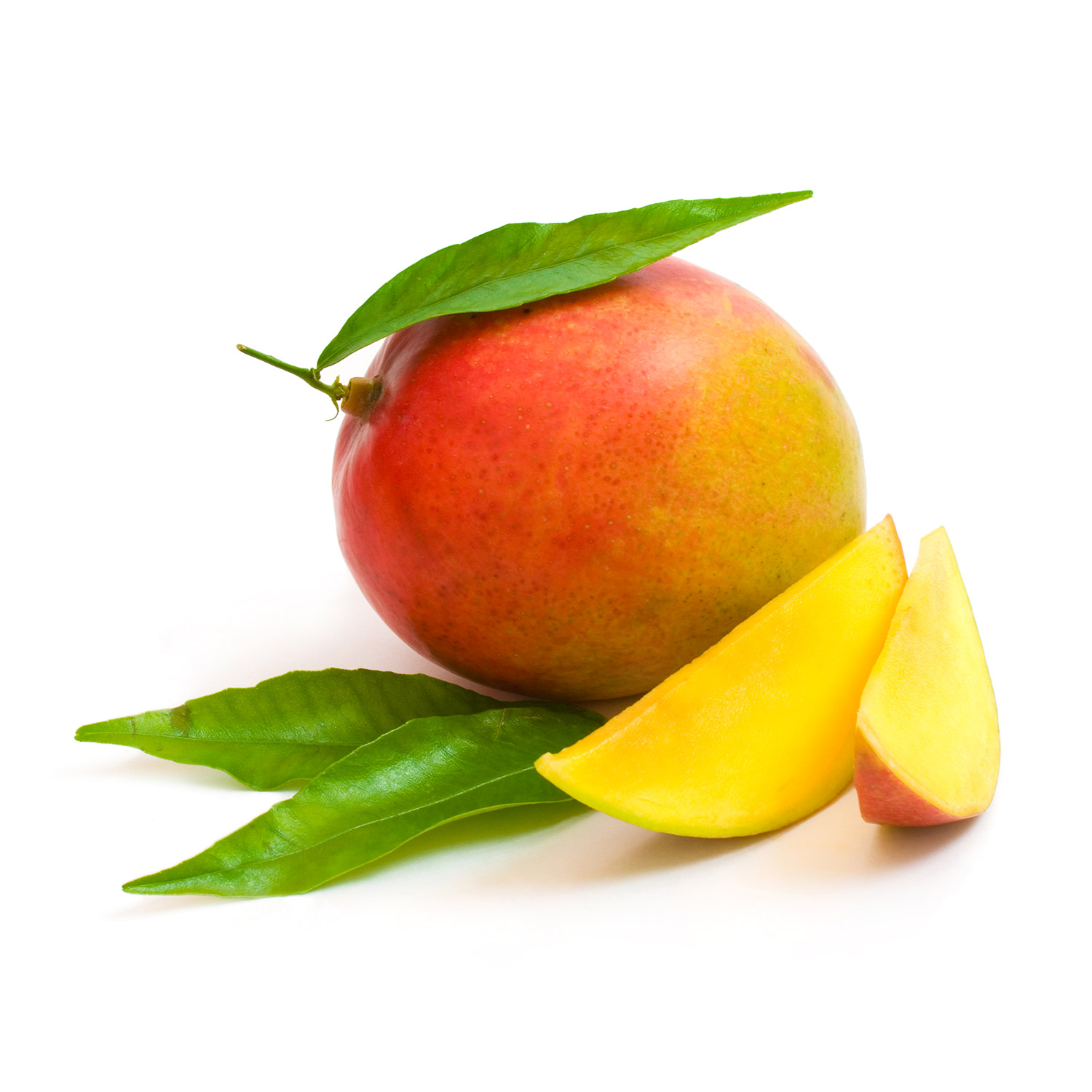 Mangue